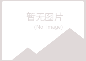 平利县埋没化学有限公司